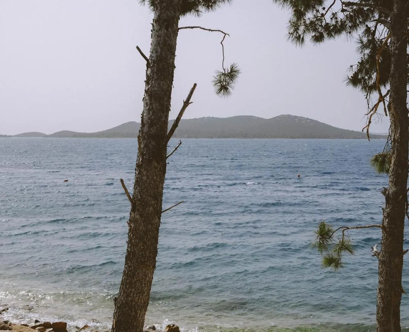 Villa Gioia Beach Front Drage